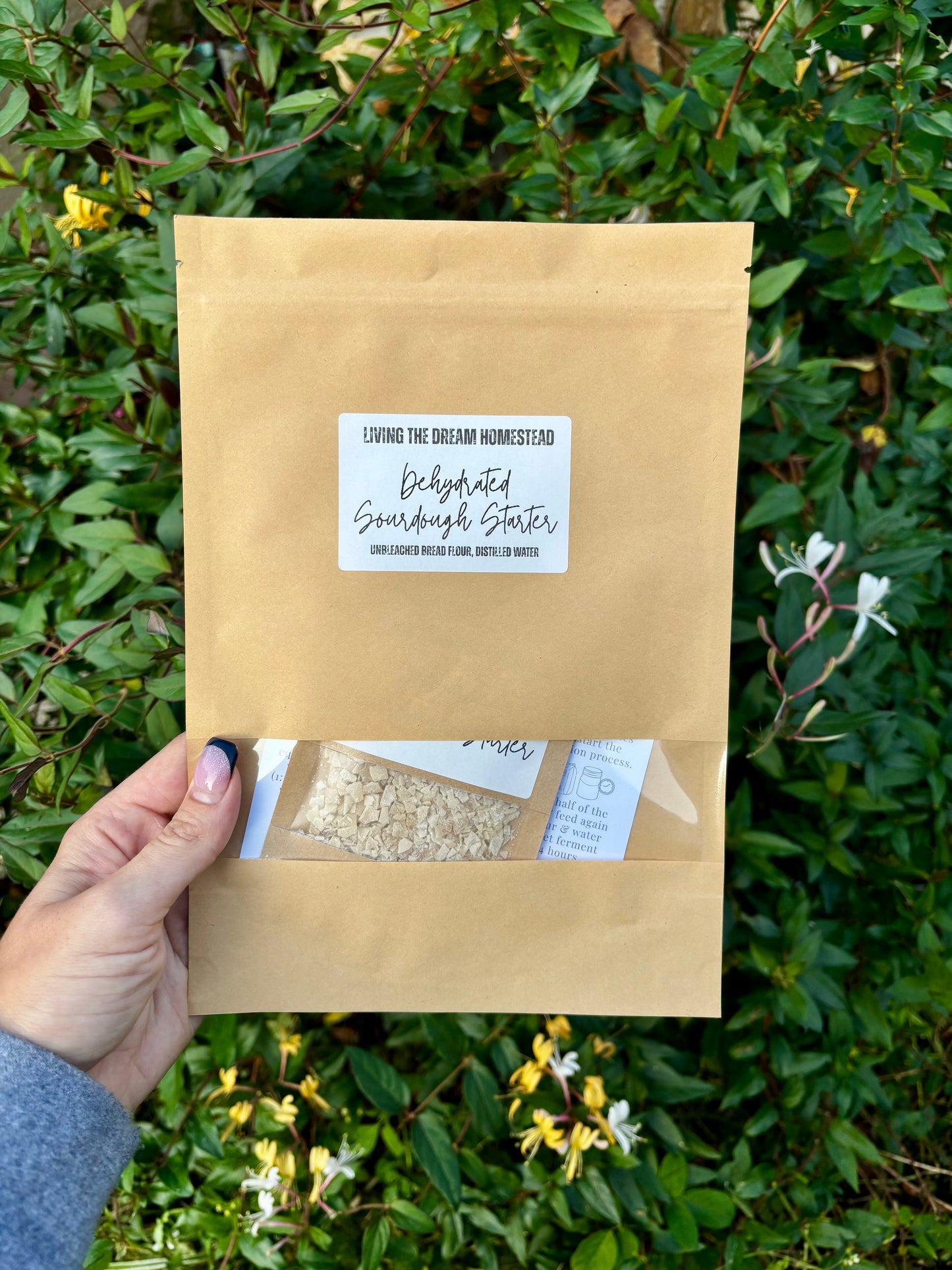 Dehydrated sourdough starter 