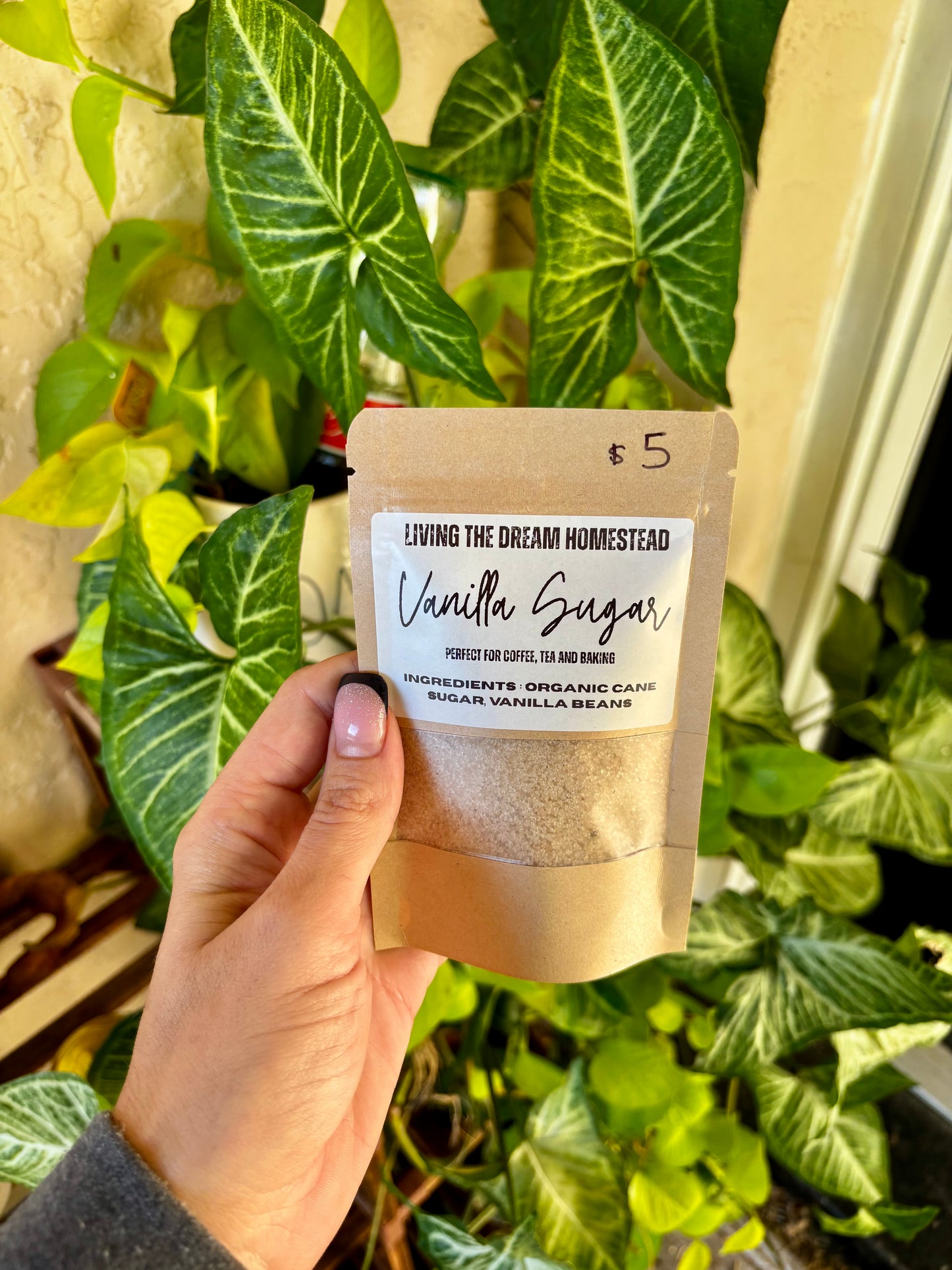 Vanilla Sugar