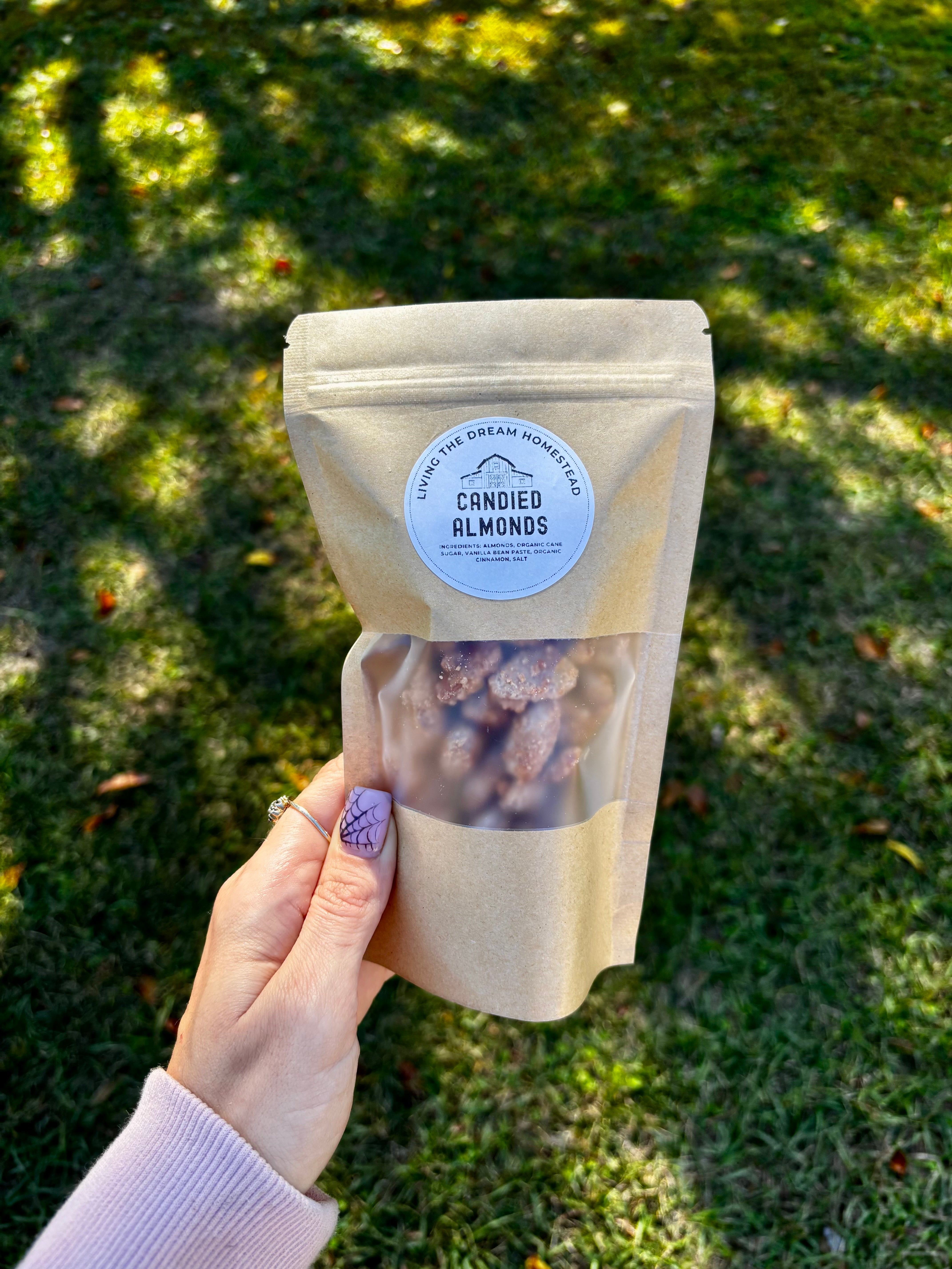 Candied Nuts – Living The Dream Homestead