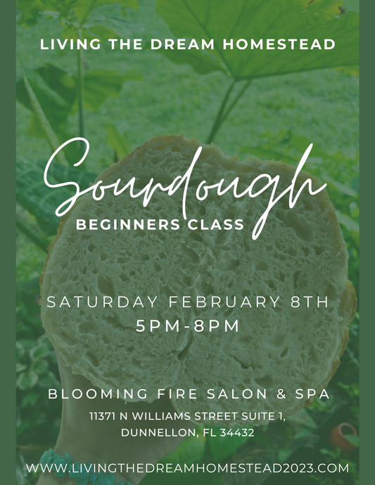 Beginners Sourdough Class February 8TH (Dunnellon)