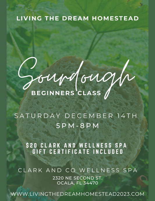 December 14th Sourdough Beginners Class (OCALA)