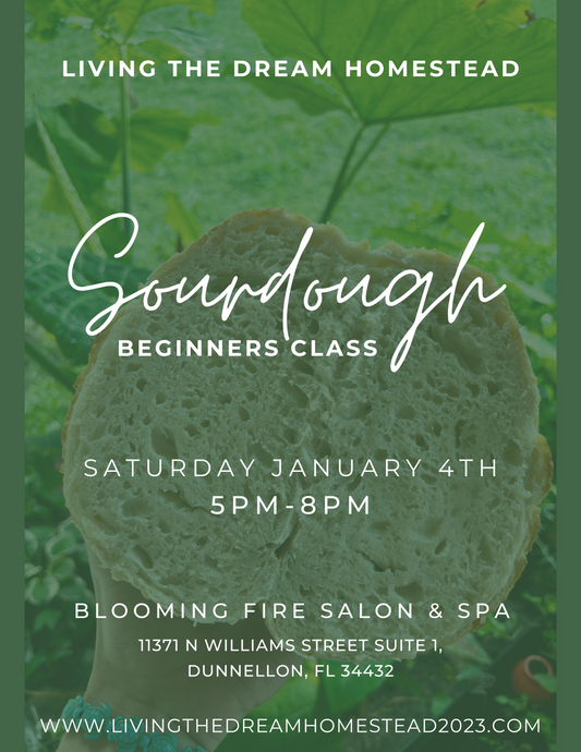 January 4th Sourdough Beginners Class (DUNNELLON)